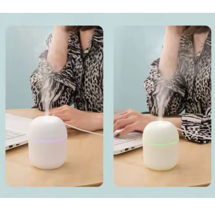 Humidificador difusor